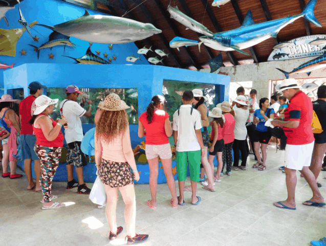 como llegar al oceanario islas del rosario