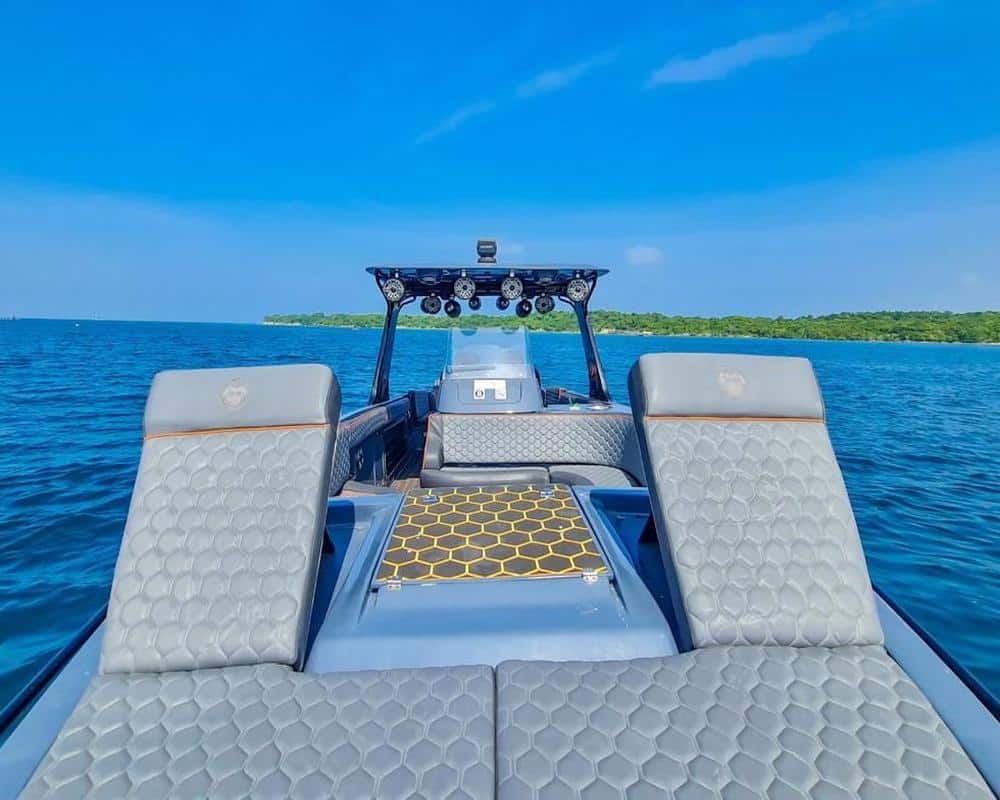 Lancha Black Shepp - Image 17