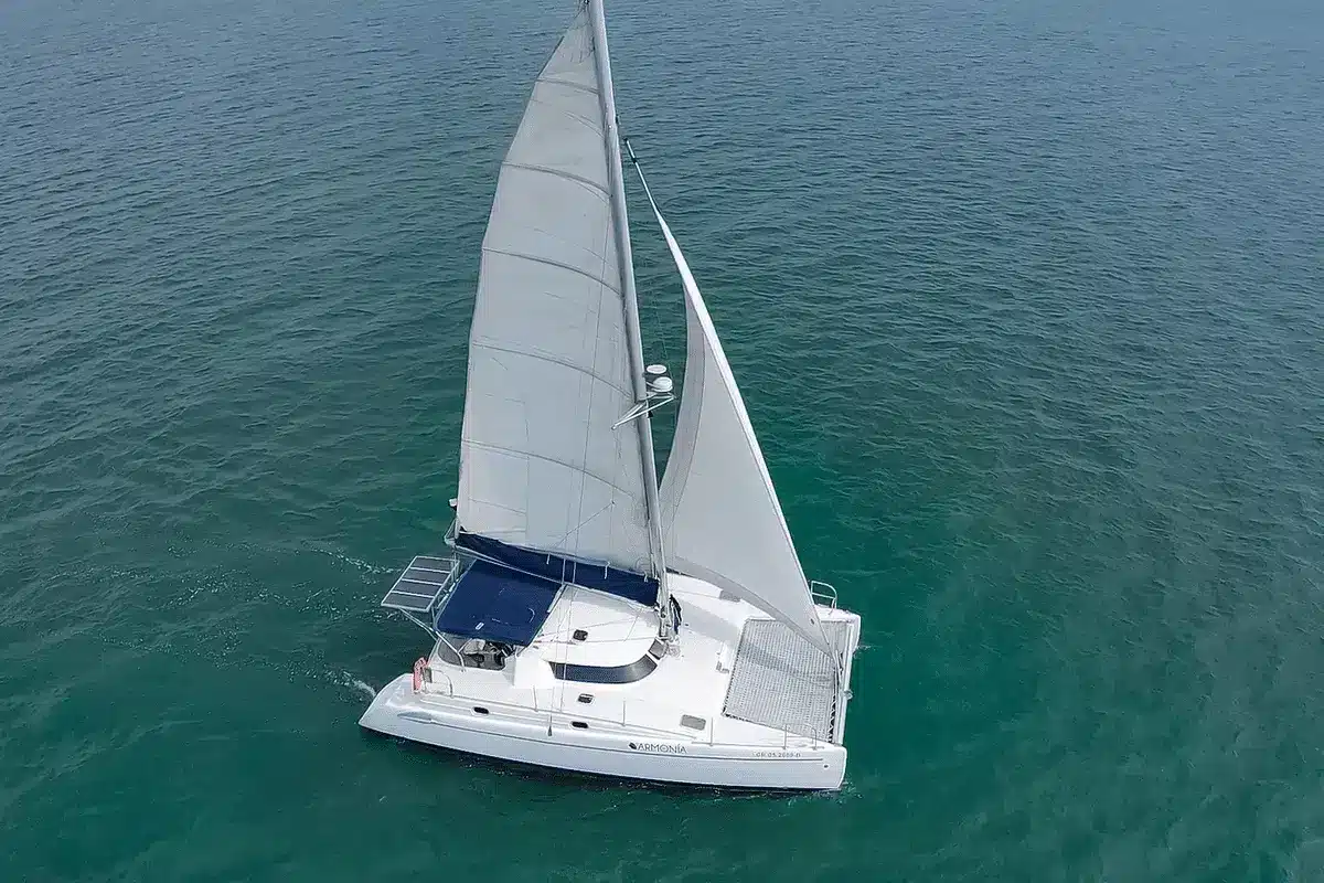 Catamarán Armonía
